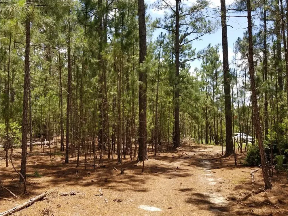 3821 Ga Highway 112 W Ashburn, GA 31714