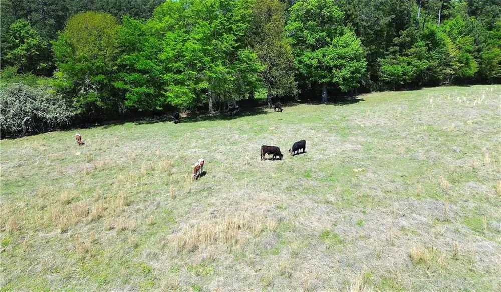 486 County Line Road Resaca, GA 30735