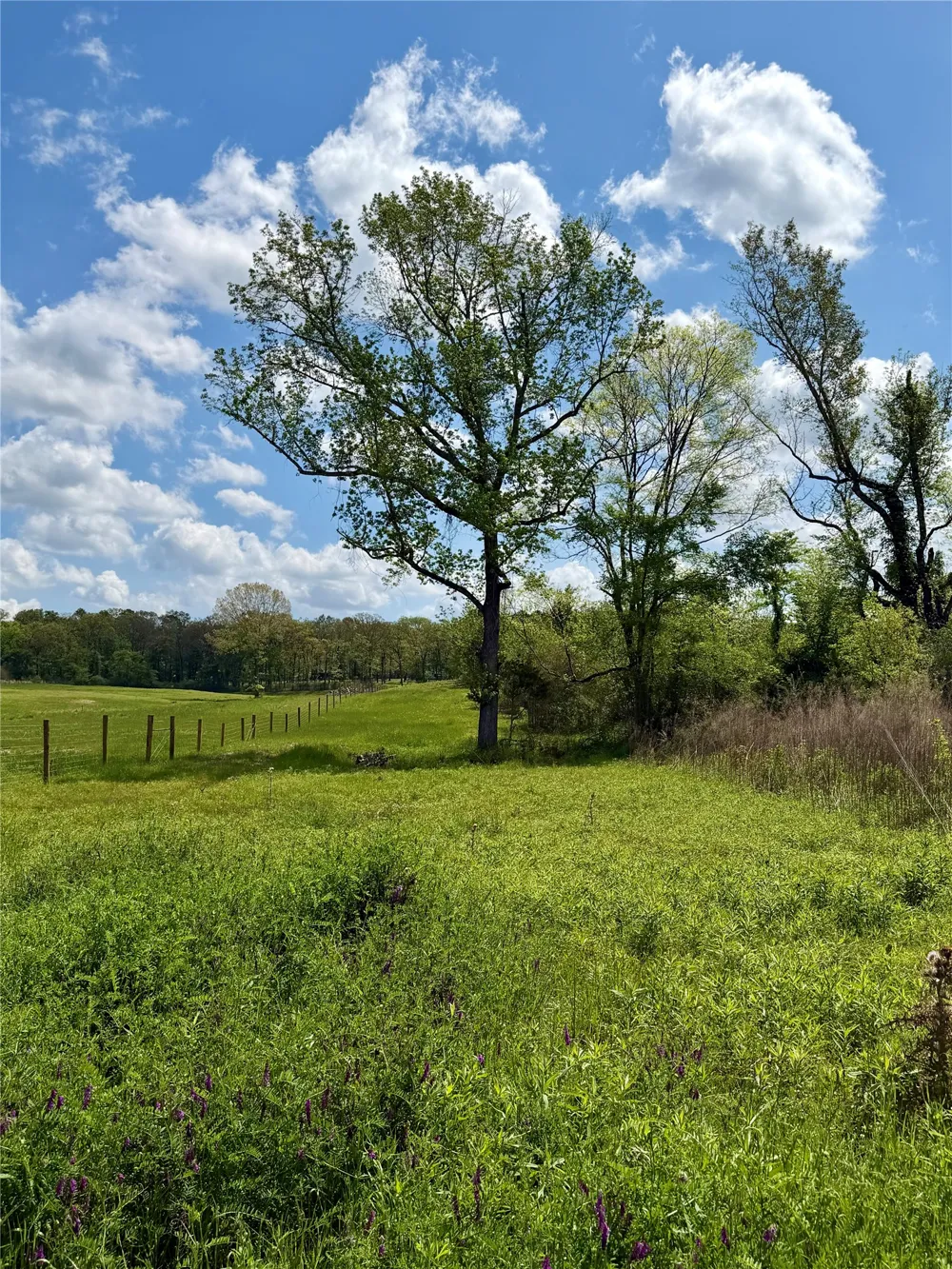 Colworth Road Keithville, LA 71047