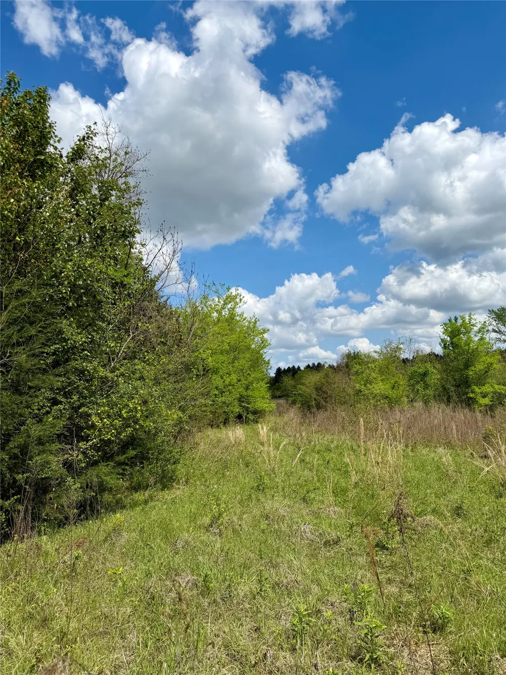 Colworth Road Keithville, LA 71047