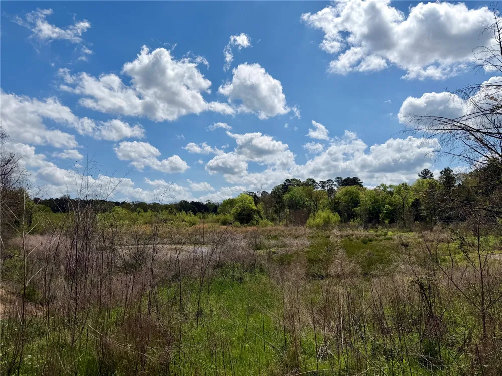 Colworth Road Keithville, LA 71047