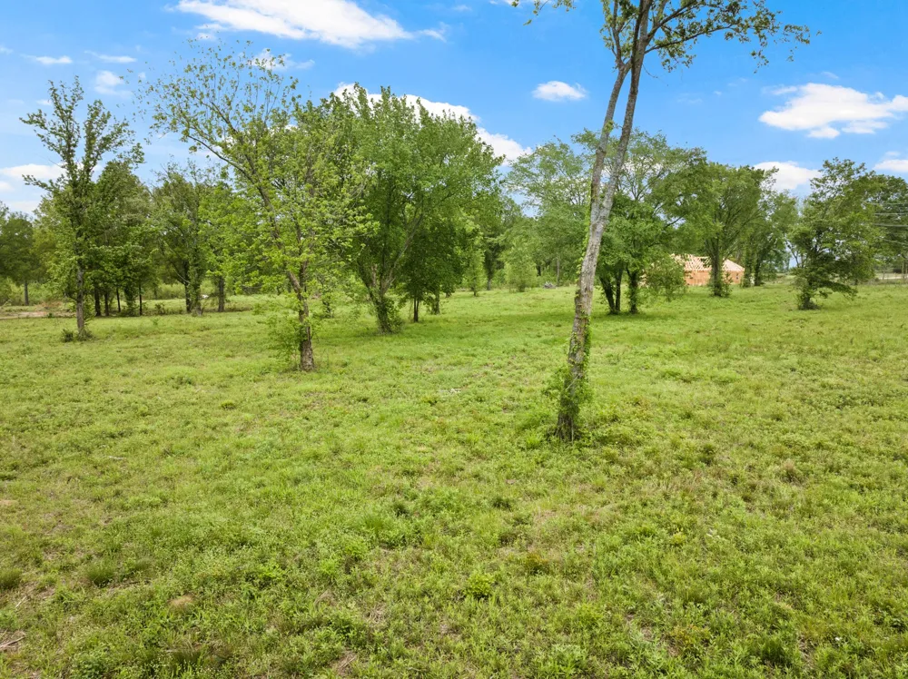 2906 Jefferson Avenue Mt Pleasant, TX 75455