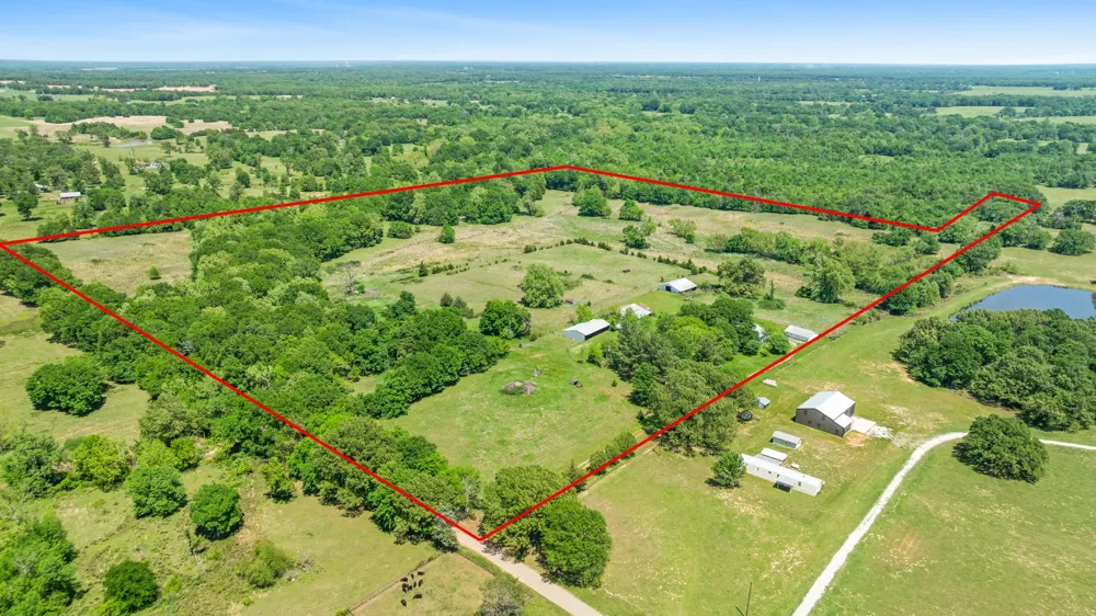 2000 COUNTY ROAD 2420 Honey Grove, TX 75446