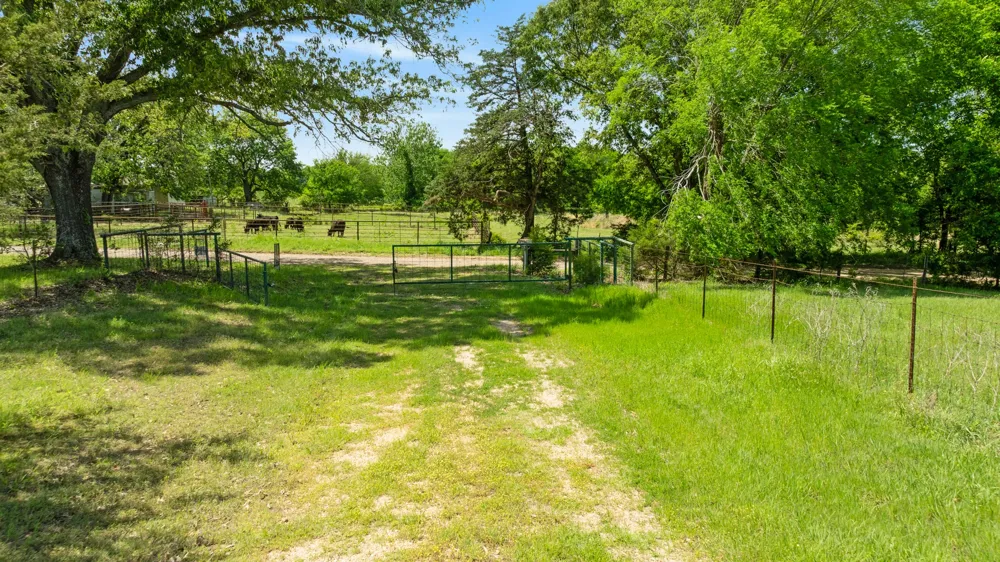 2000 COUNTY ROAD 2420 Honey Grove, TX 75446