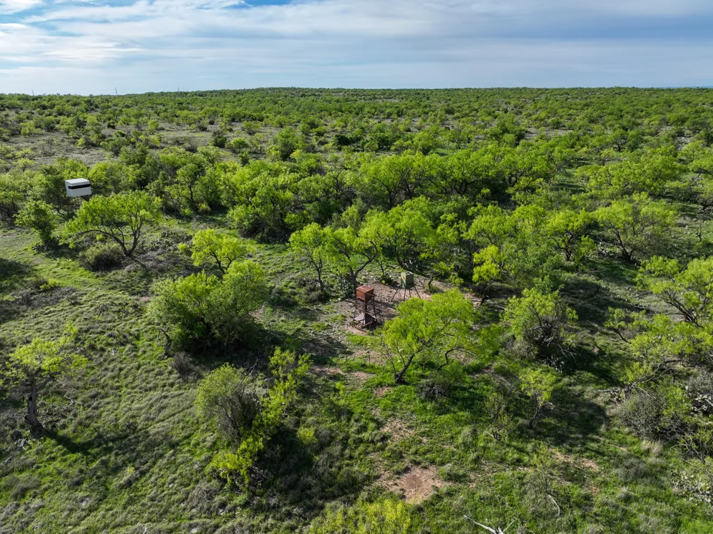 1124 County Road 322 Voss, TX 76888
