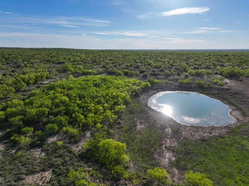1124 County Road 322 Voss, TX 76888