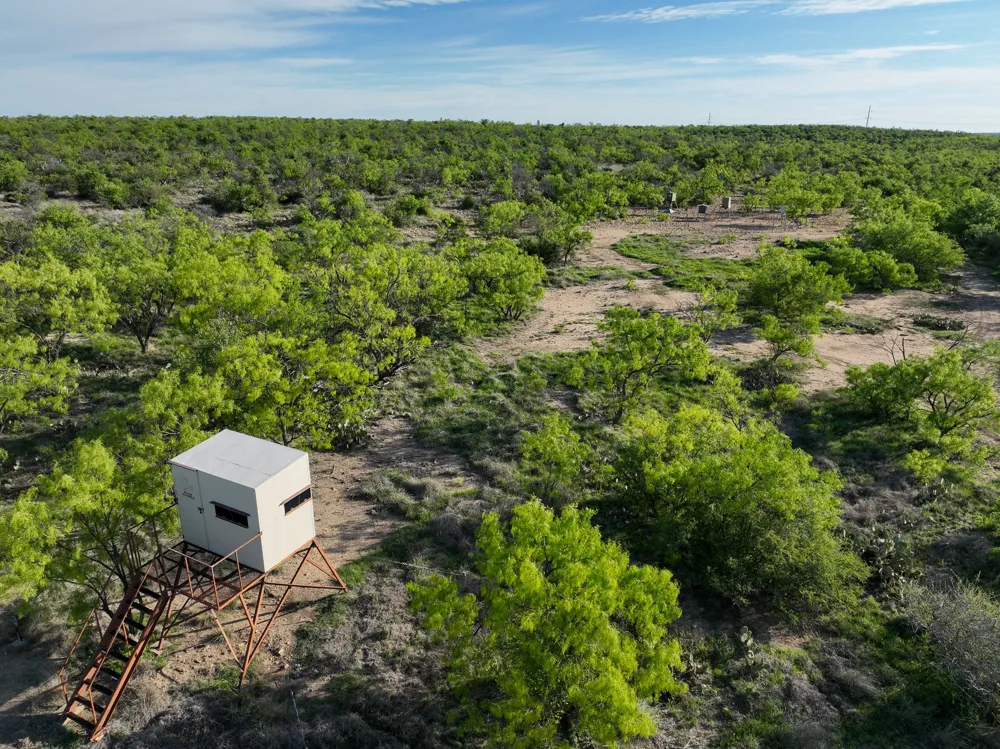 1124 County Road 322 Voss, TX 76888