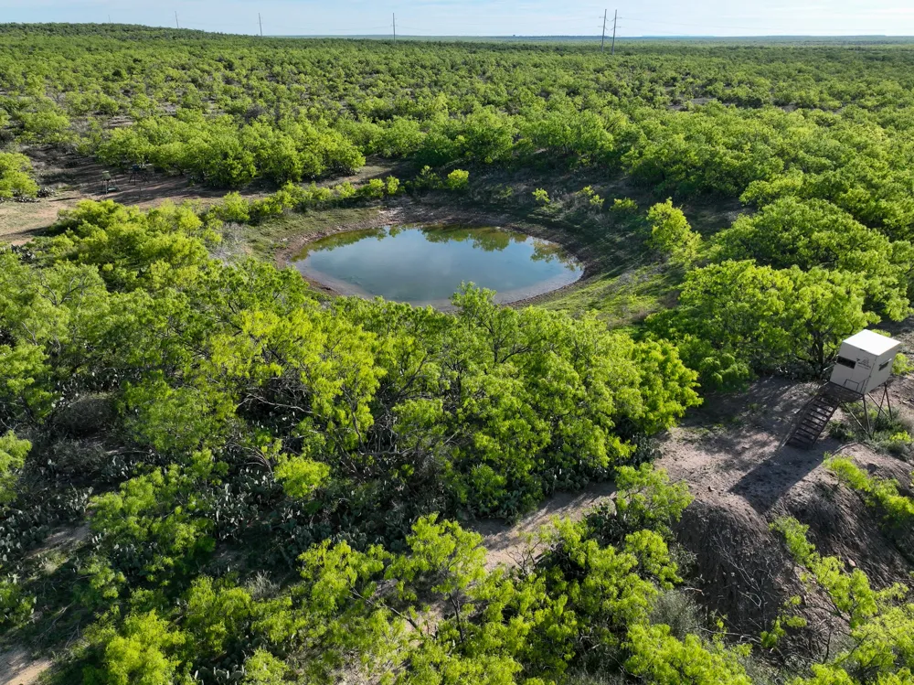 1124 County Road 322 Voss, TX 76888