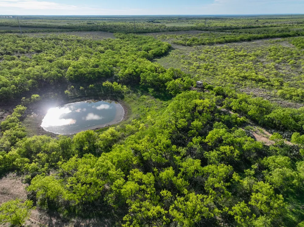 1124 County Road 322 Voss, TX 76888