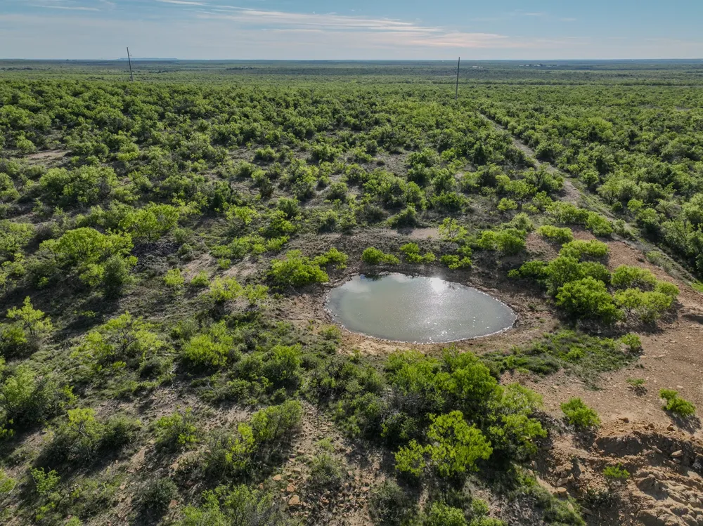 1124 County Road 322 Voss, TX 76888