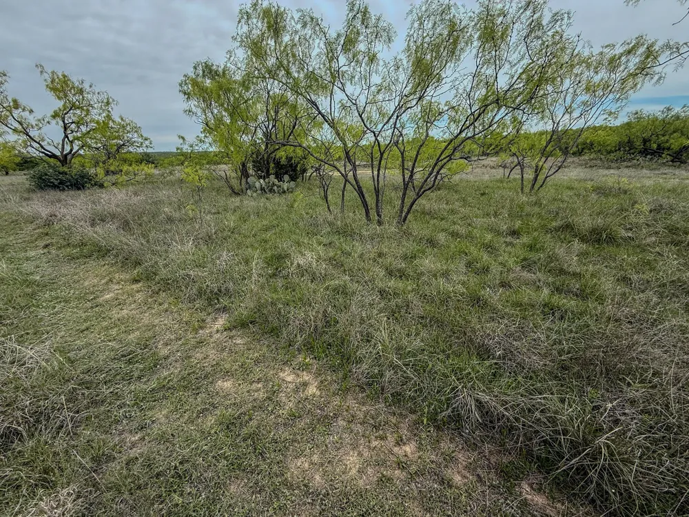1124 County Road 322 Voss, TX 76888