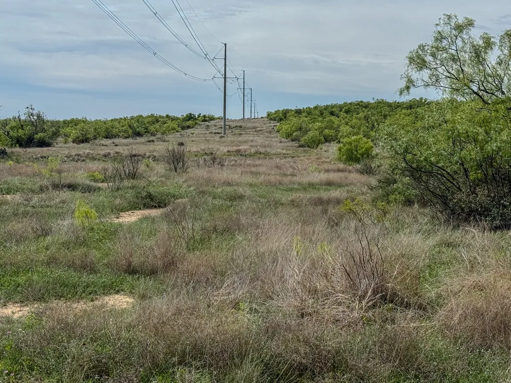 1124 County Road 322 Voss, TX 76888