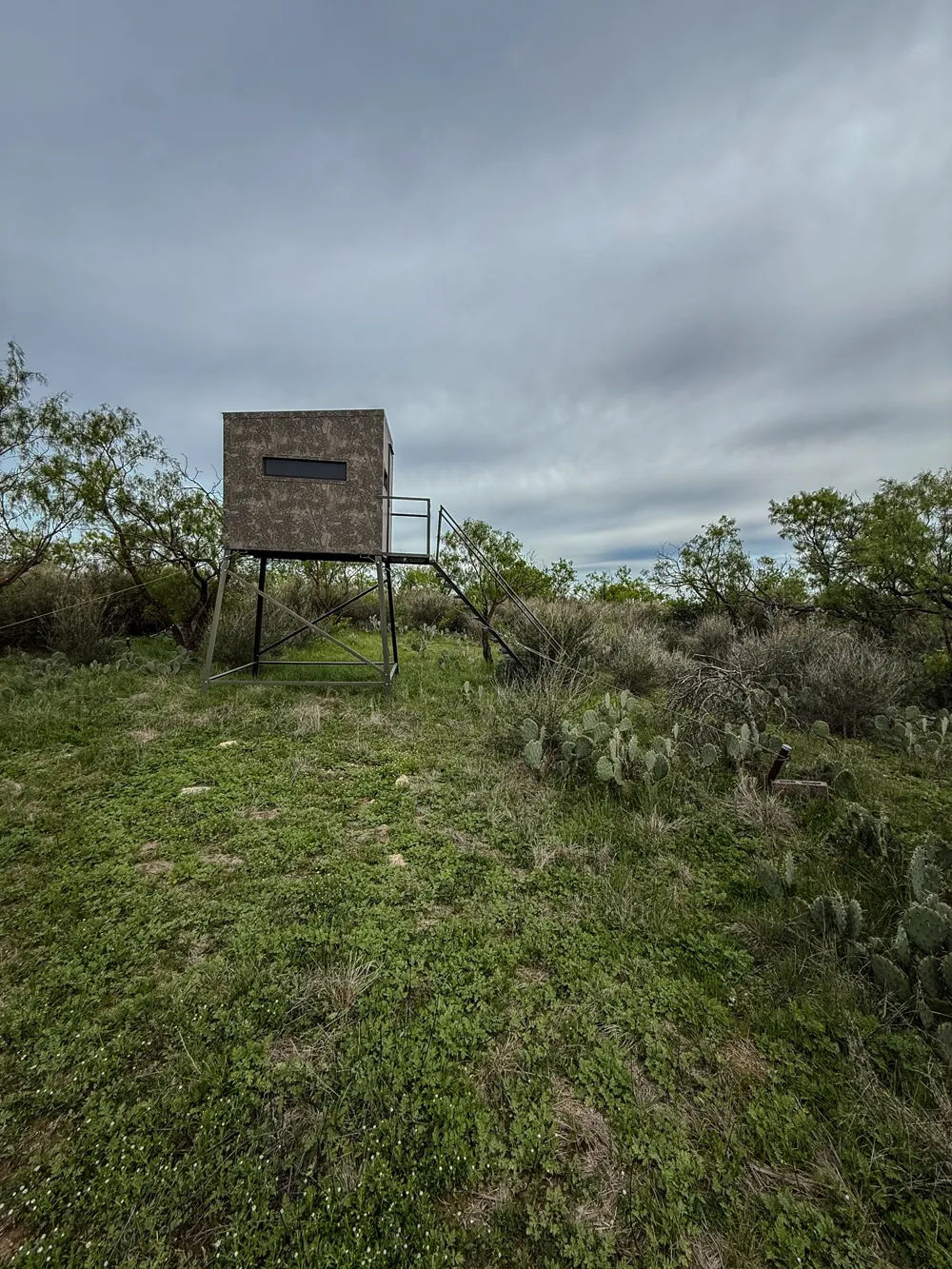1124 County Road 322 Voss, TX 76888