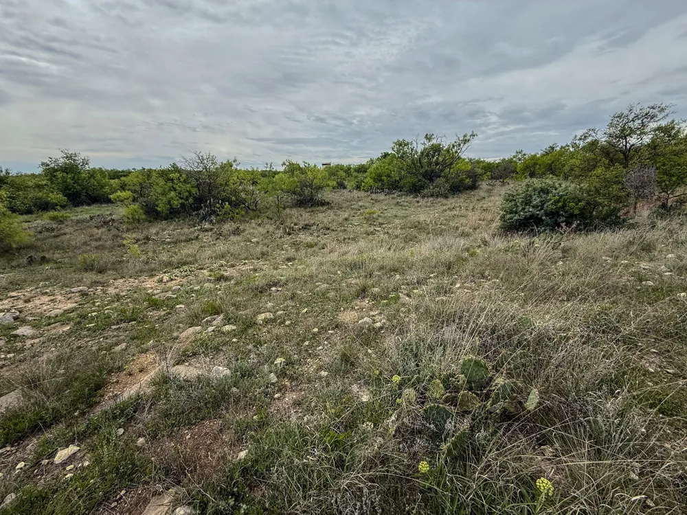 1124 County Road 322 Voss, TX 76888