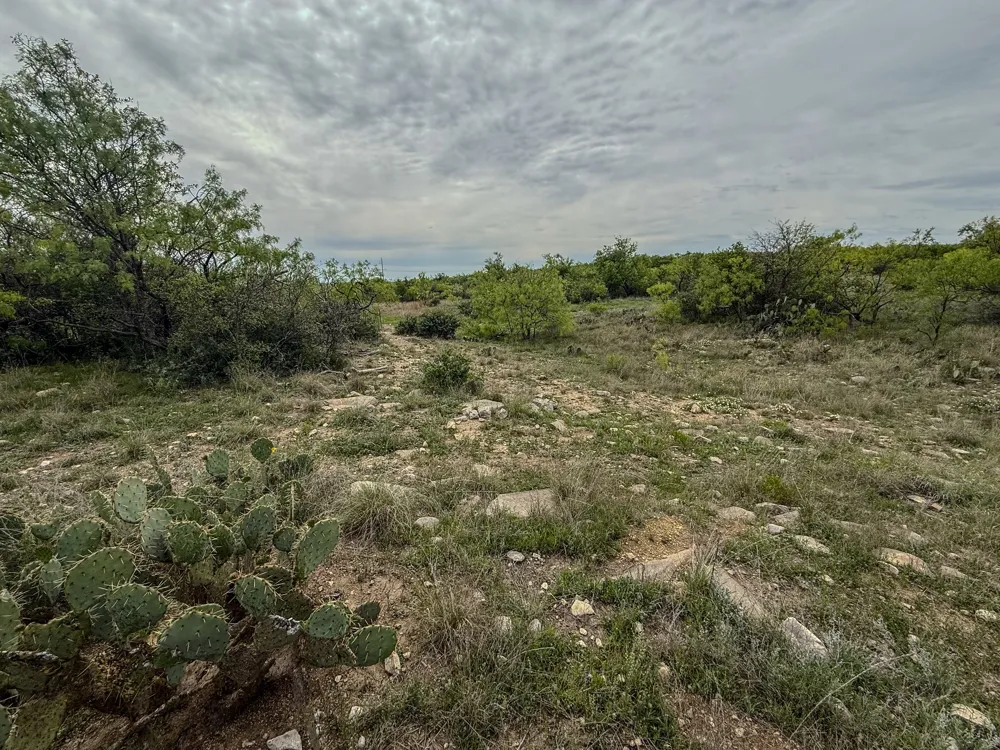 1124 County Road 322 Voss, TX 76888