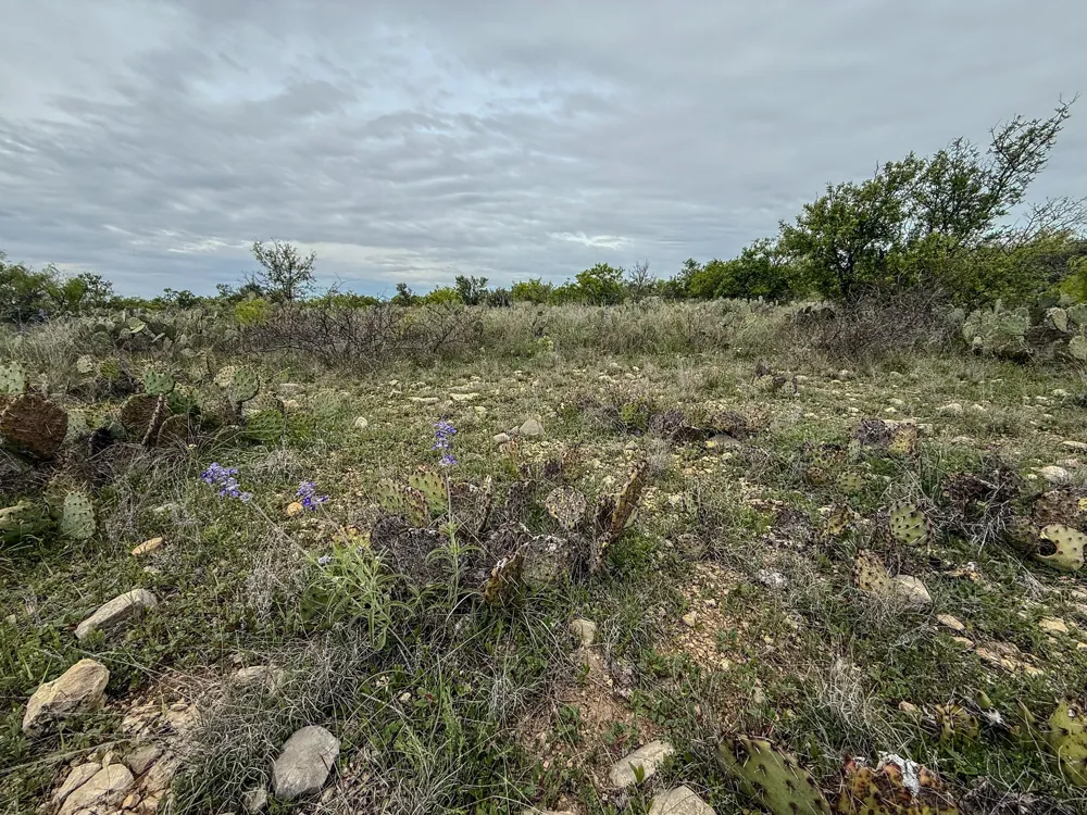 1124 County Road 322 Voss, TX 76888
