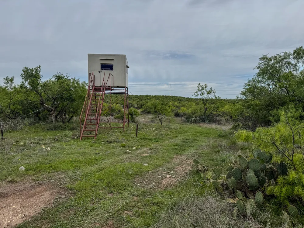 1124 County Road 322 Voss, TX 76888