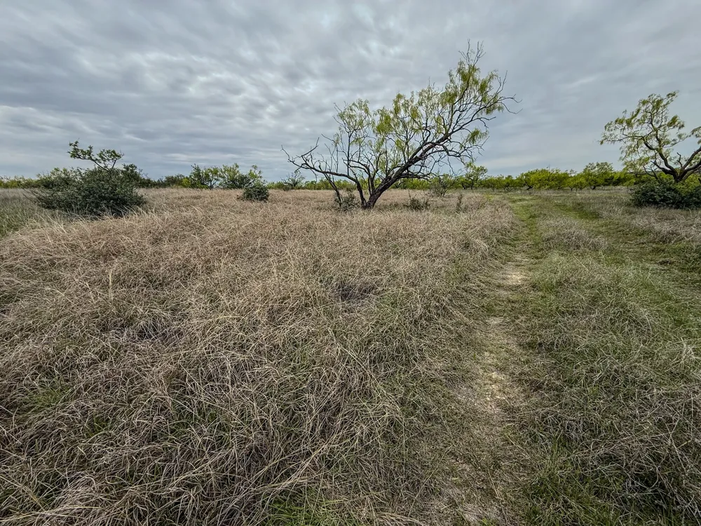 1124 County Road 322 Voss, TX 76888