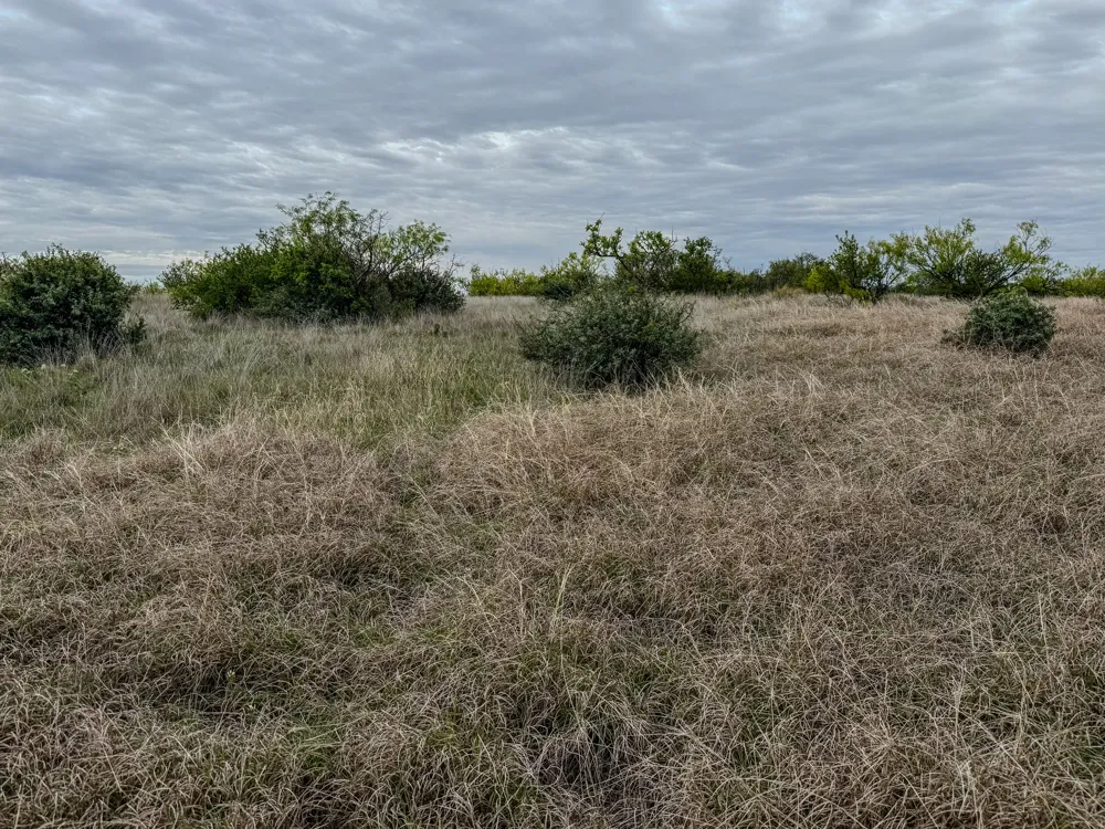 1124 County Road 322 Voss, TX 76888