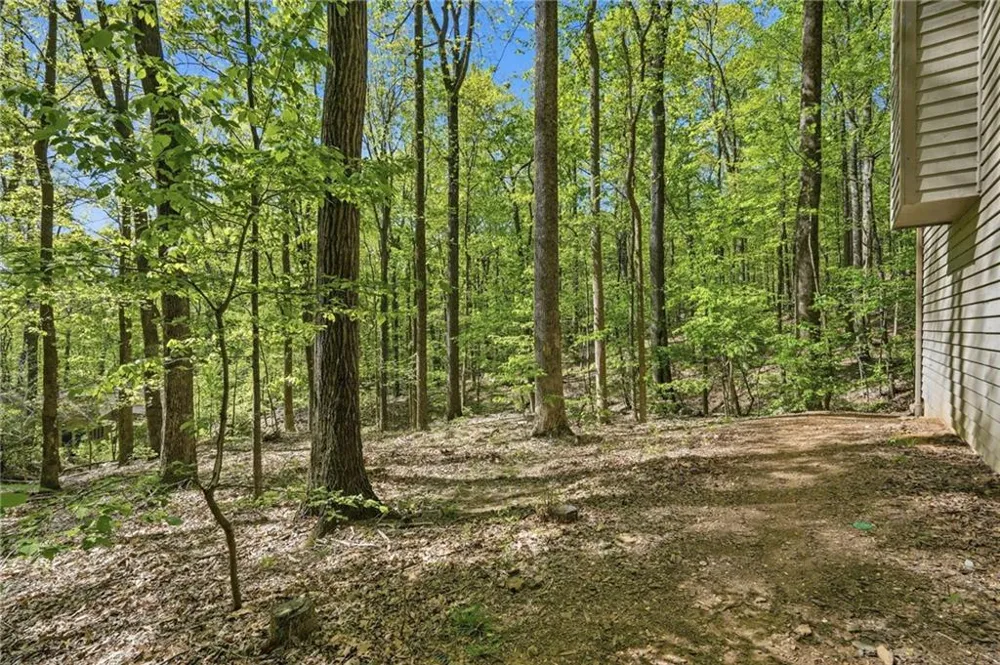 225 Windflower Drive Big Canoe, GA 30143