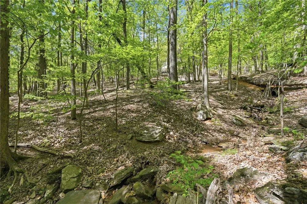 225 Windflower Drive Big Canoe, GA 30143
