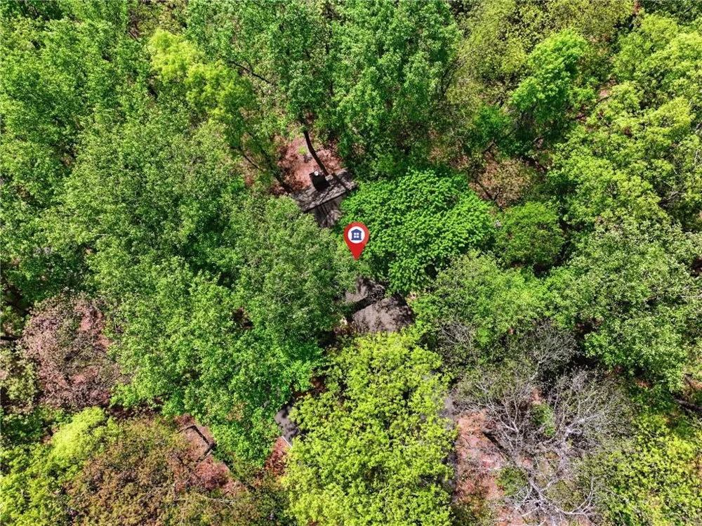 225 Windflower Drive Big Canoe, GA 30143