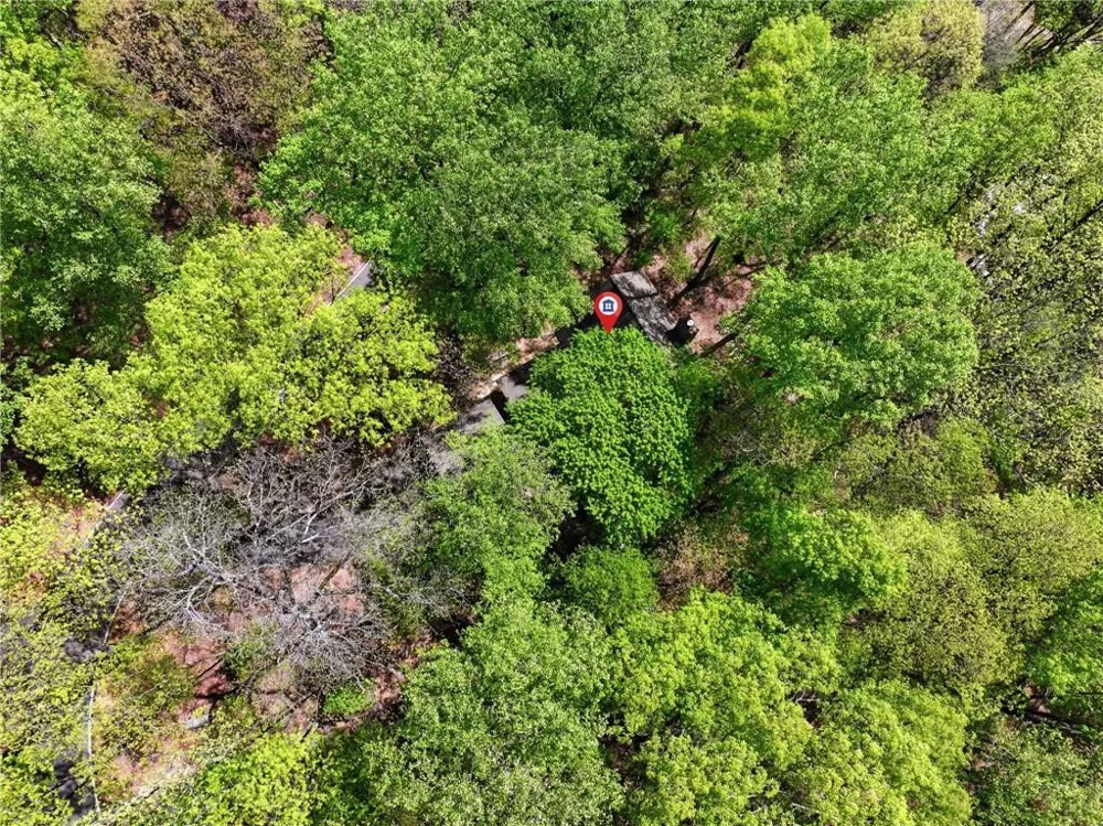 225 Windflower Drive Big Canoe, GA 30143