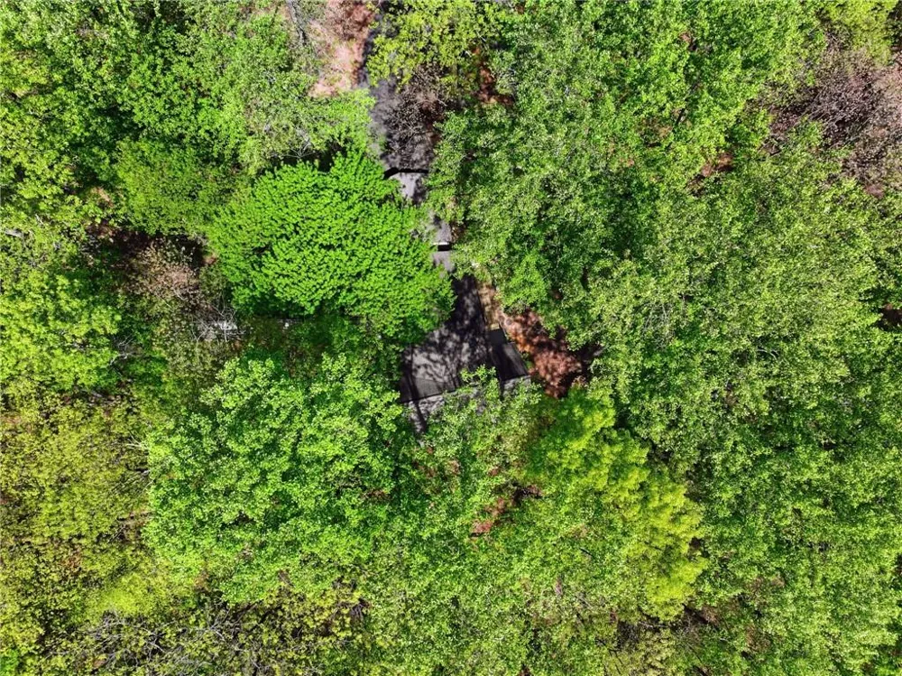 225 Windflower Drive Big Canoe, GA 30143