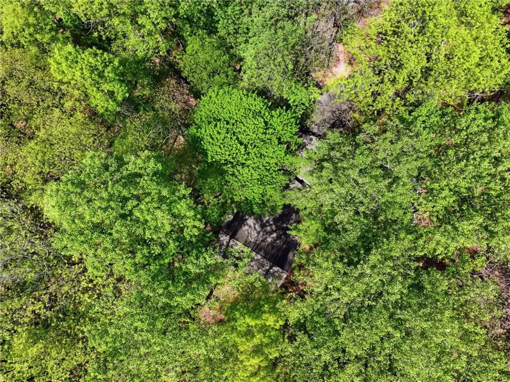 225 Windflower Drive Big Canoe, GA 30143