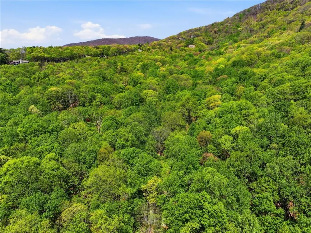 225 Windflower Drive Big Canoe, GA 30143
