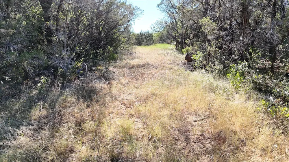 Davenport Road Palo Pinto, TX 76484