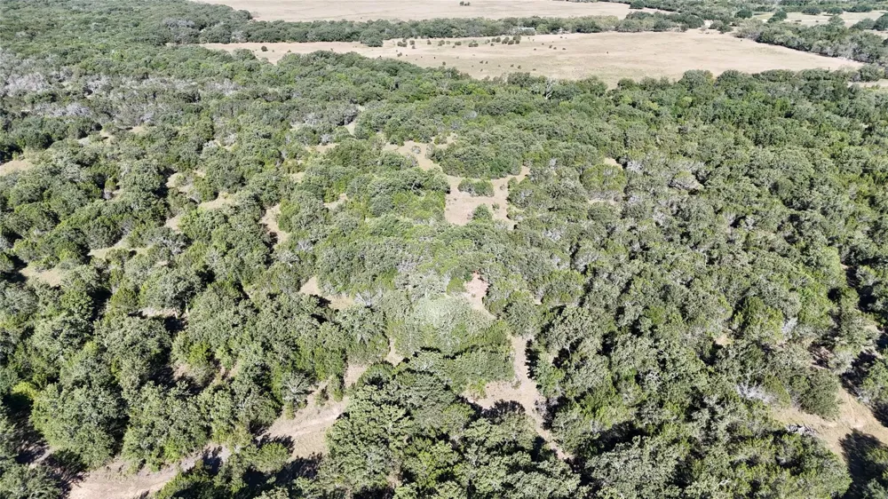 Davenport Road Palo Pinto, TX 76484