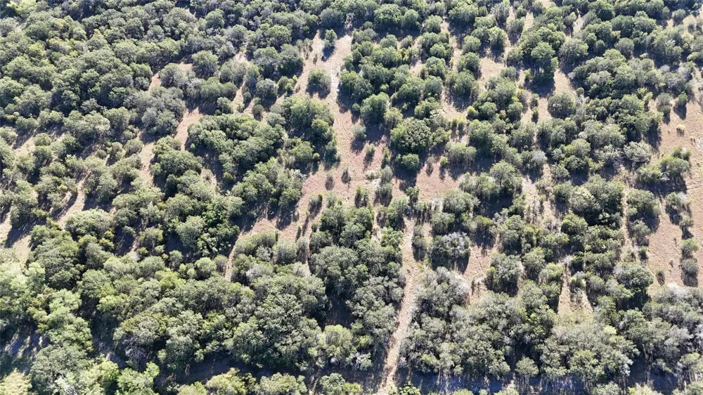 Davenport Road Palo Pinto, TX 76484