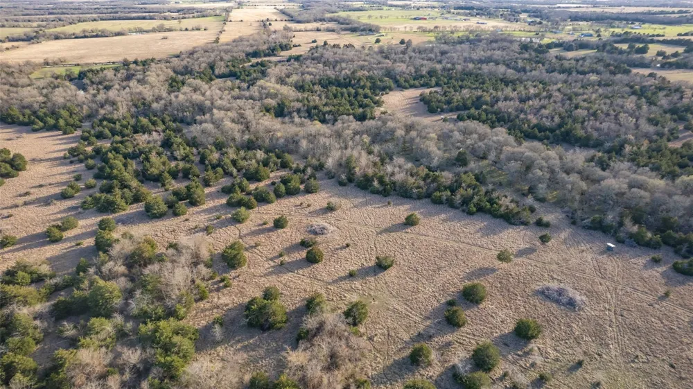 County Road 3207 Campbell, TX 75422
