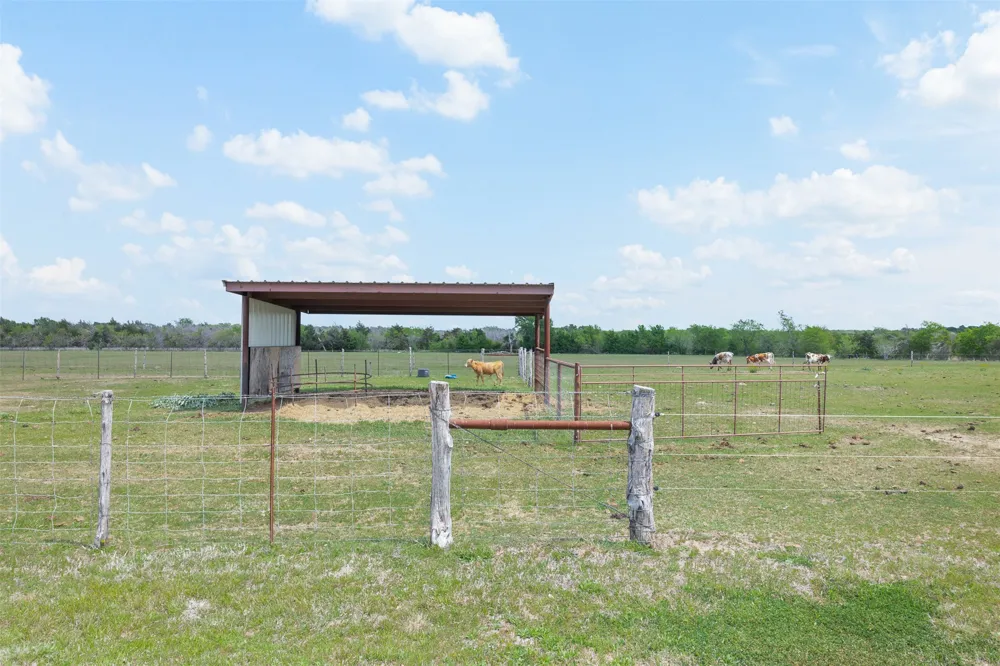 131 CR 279 Kosse, TX 76653