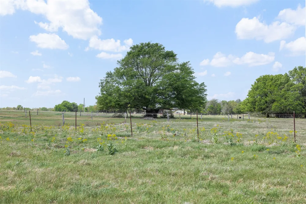 131 CR 279 Kosse, TX 76653