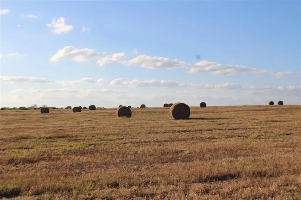 CO RD 4518 Wolfe City, TX 75496