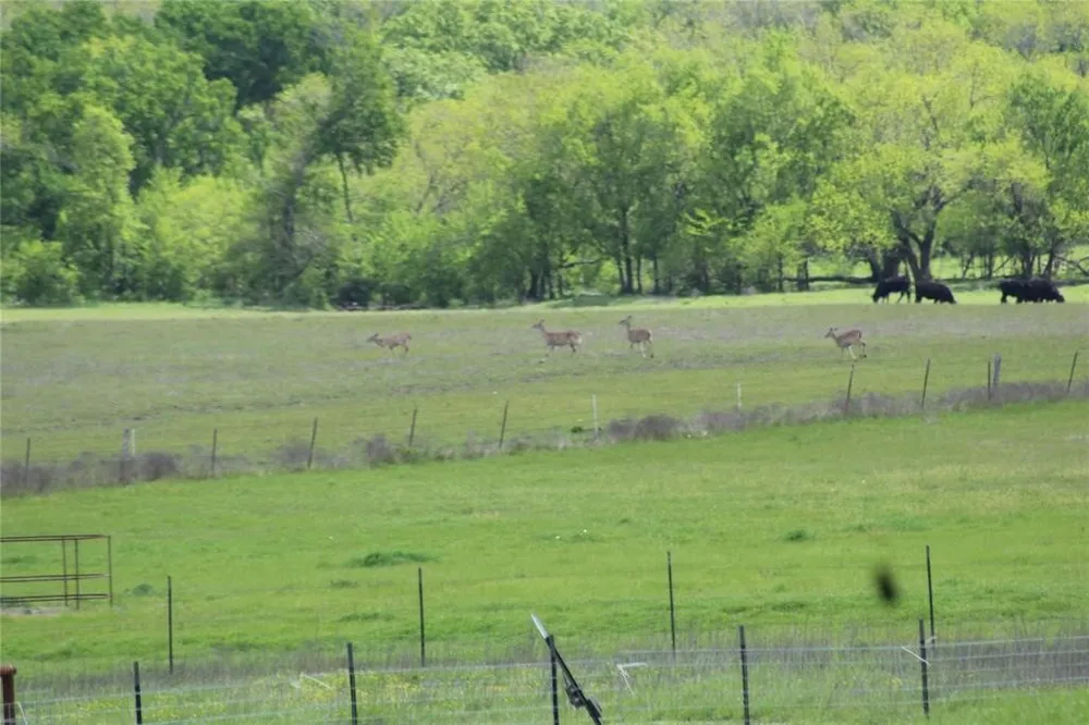 CO RD 4518 Wolfe City, TX 75496