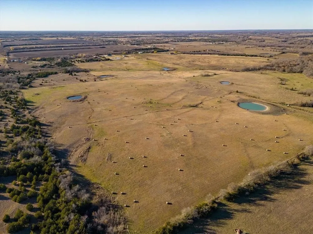 CO RD 4518 Wolfe City, TX 75496