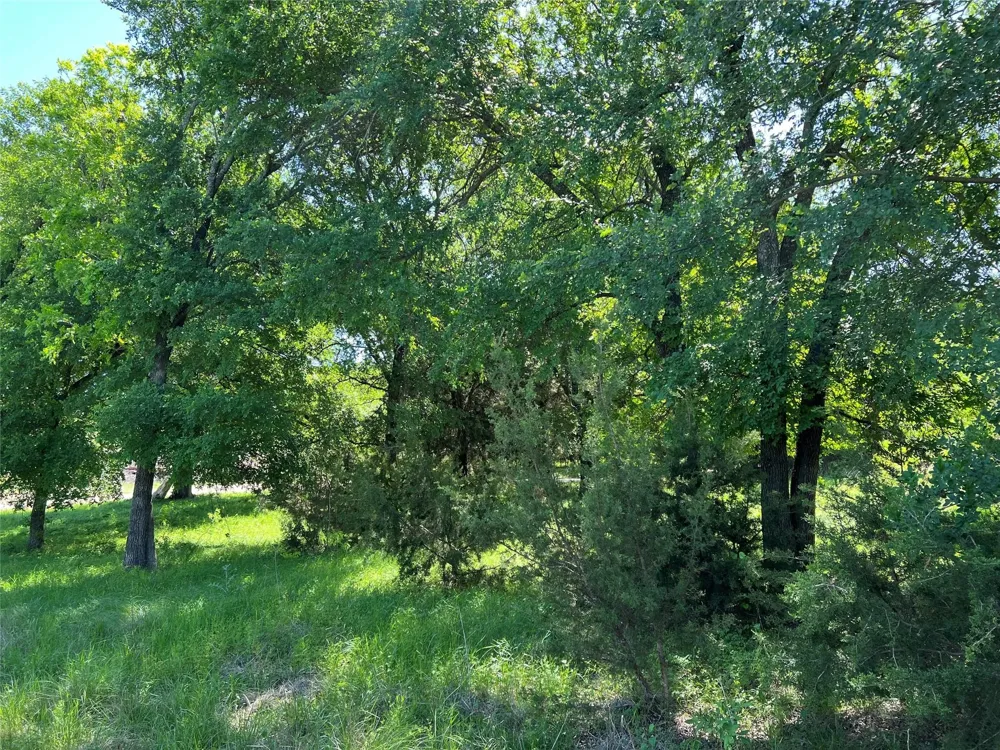 26820 US Highway 377 Bluff Dale, TX 76433
