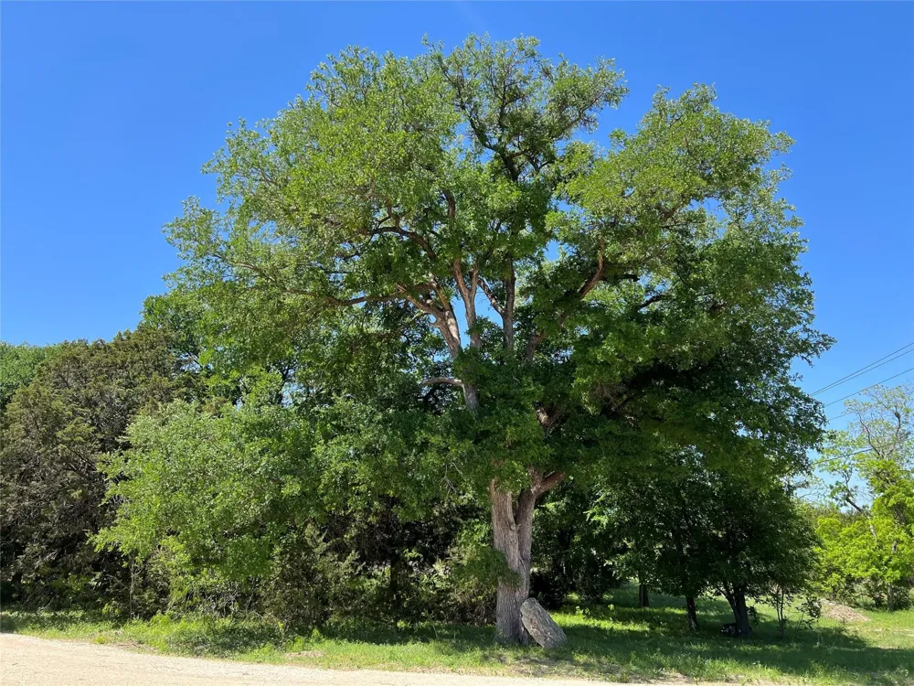 26820 US Highway 377 Bluff Dale, TX 76433
