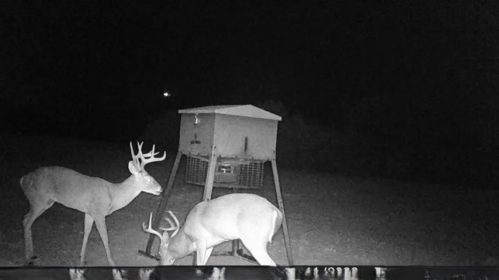 26820 US Highway 377 Bluff Dale, TX 76433