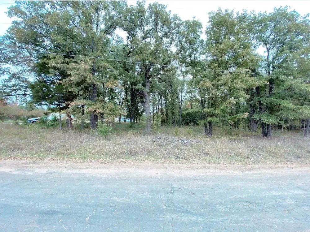Barcelona Street Payne Springs, TX 75156