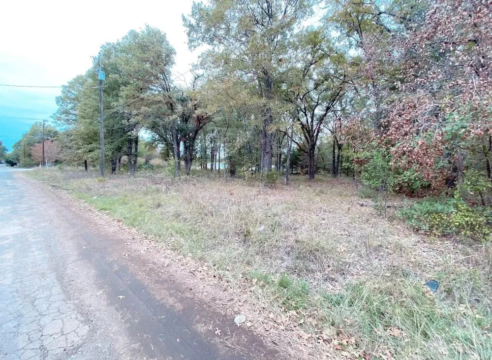 Barcelona Street Payne Springs, TX 75156