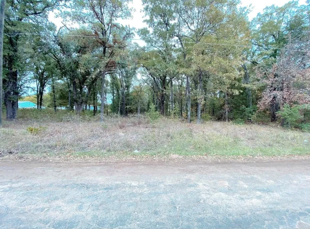 Barcelona Street Payne Springs, TX 75156