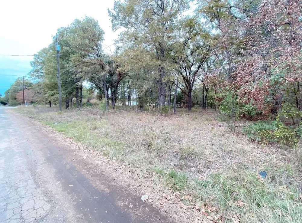 Barcelona Street Payne Springs, TX 75156
