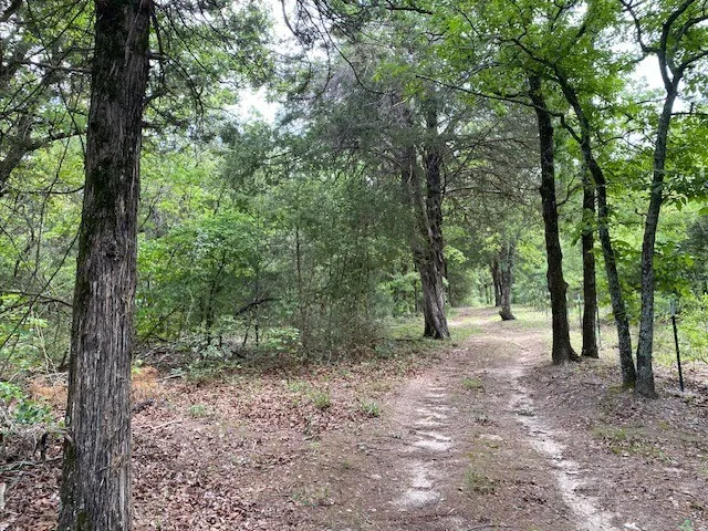 7601 CR 3700 Murchison, TX 75778