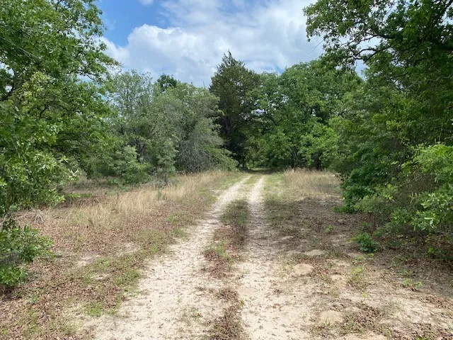 7601 CR 3700 Murchison, TX 75778