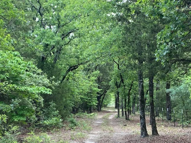 7601 CR 3700 Murchison, TX 75778