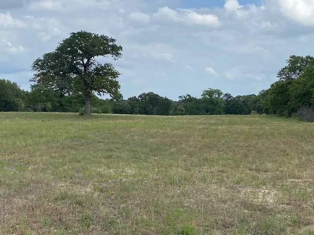 7601 CR 3700 Murchison, TX 75778